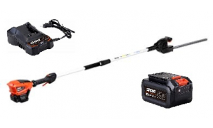 Taille Haies sur perche ECHO DHCA 310 Pack Batterie LBP36-80 et Chargeur LC-3604