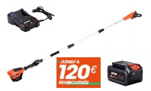 Tronçonneuse sur perche ECHO DPPF 310 Pack Batterie LBP36-80 et Chargeur LC-3604