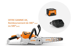 Tronçonneuse STIHL MSA 60 C-B Pack avec AK 20 + AL 101